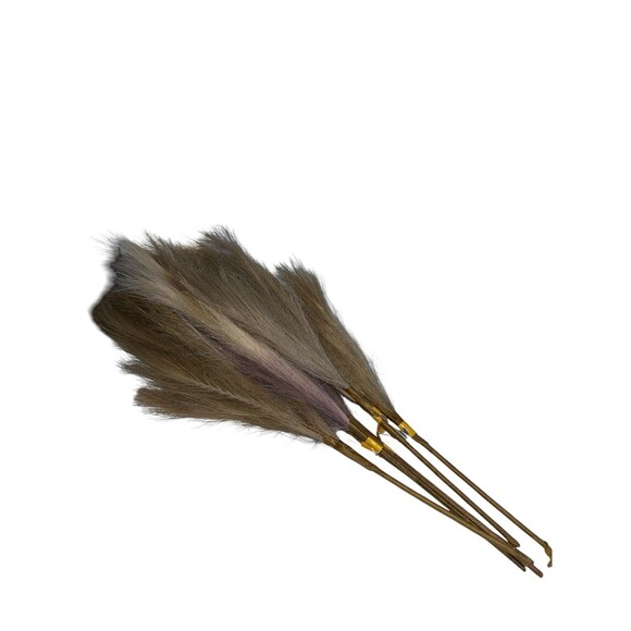 Faux Pampas Grass Fluffy Artificial Tall Stems Beige Boho 6 pcs 22 inches - Picture 10 of 16